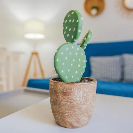 Center * コラレホ